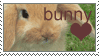 love bunnies